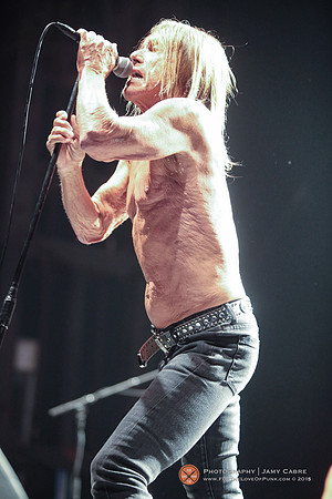 Iggy Pop